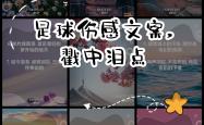 km包网 vip-包含狂欢足球盛事：球场上的欢笑与泪水的词条