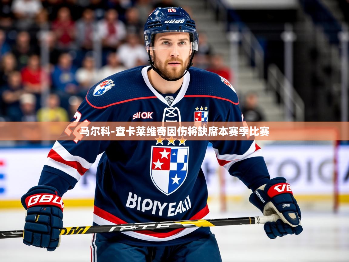 2025km体育包网马尔科-查卡莱维奇因伤将缺席本赛季比赛  第1张