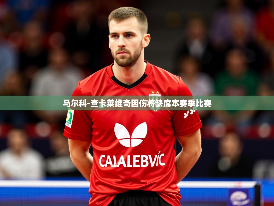 2025km体育包网马尔科-查卡莱维奇因伤将缺席本赛季比赛  第3张
