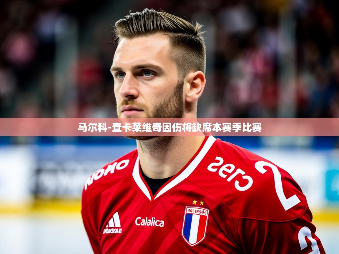 2025km体育包网马尔科-查卡莱维奇因伤将缺席本赛季比赛  第2张