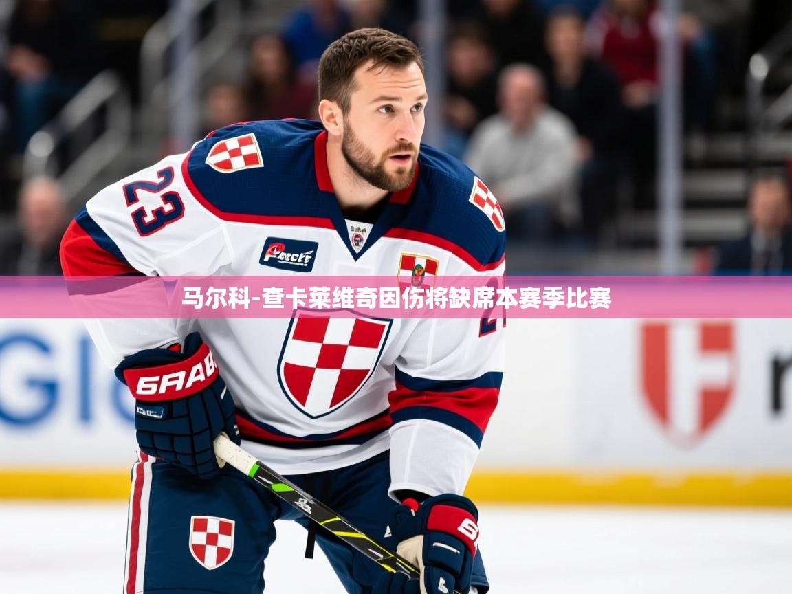 2025km体育包网马尔科-查卡莱维奇因伤将缺席本赛季比赛  第4张