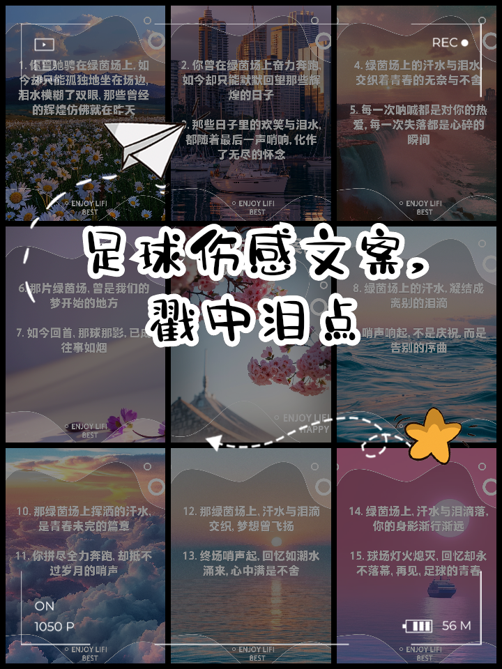 包含狂欢足球盛事：球场上的欢笑与泪水的词条